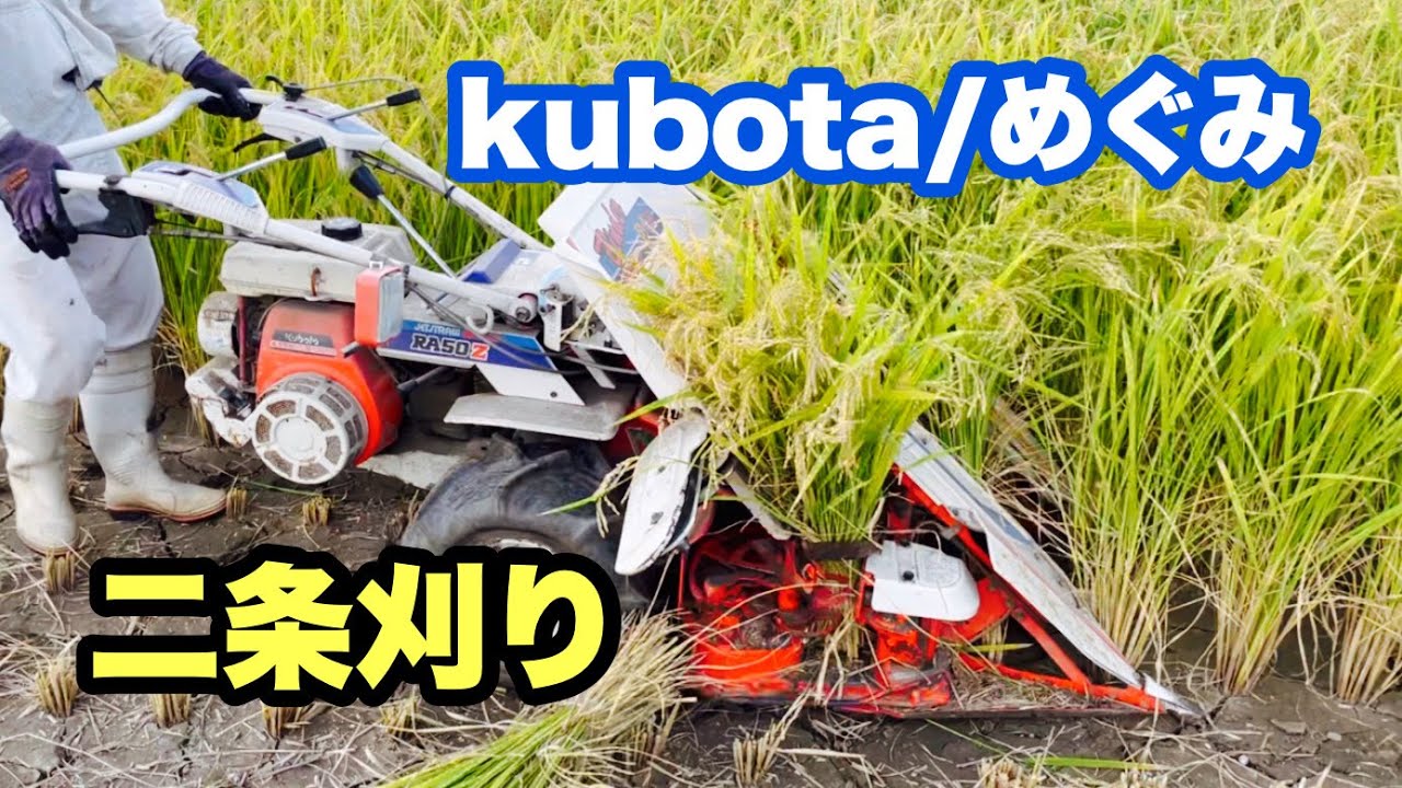 【稲刈り2021】クボタ、バインダーで天日干し^_^