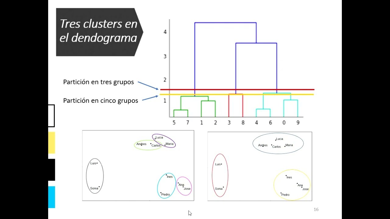 Interpretaci&oacute;n del Dendrograma #shorts