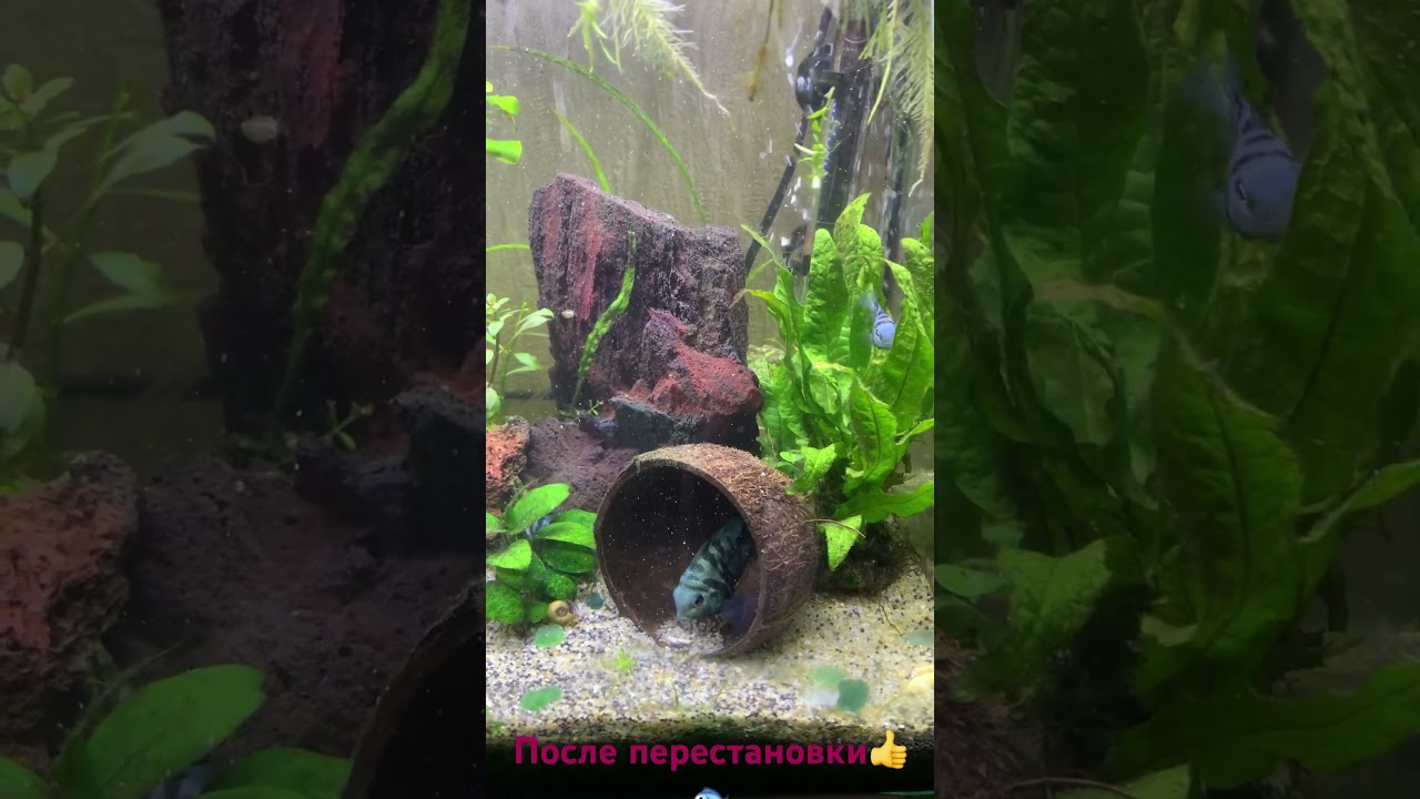 После перестановки и уборки 