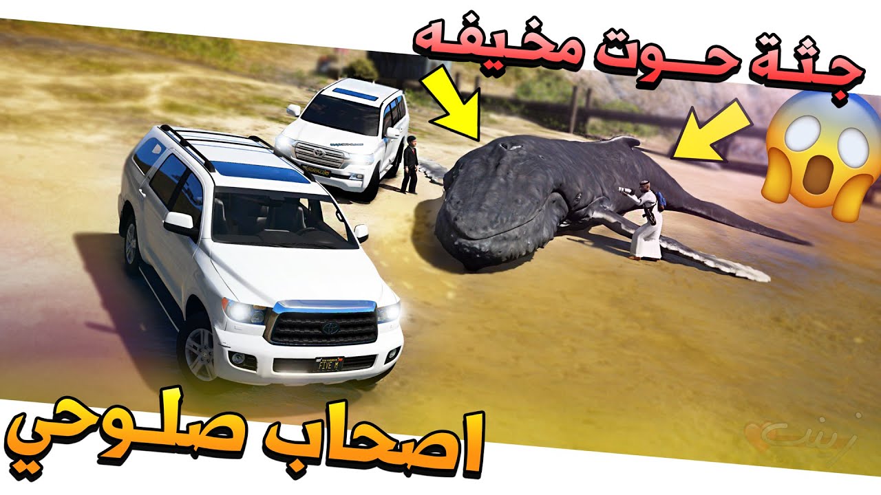 #57 - أصحاب صلوحي علي واحمد سافروا وحصلوا جثة حوت كبيره 😱 !!