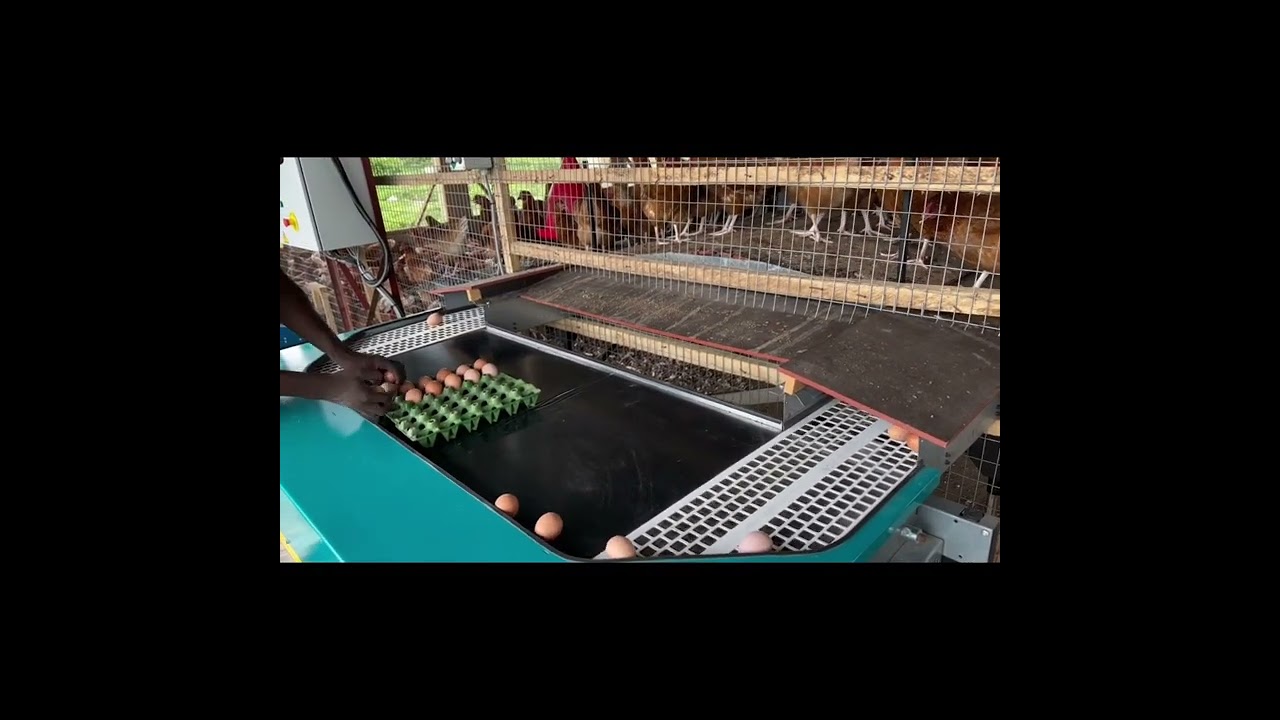 VENCOMATIC VIDEO