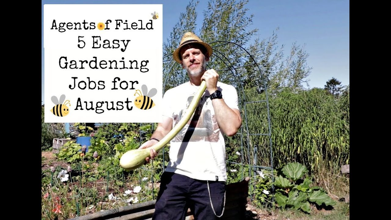 5 Easy Gardening Jobs for August