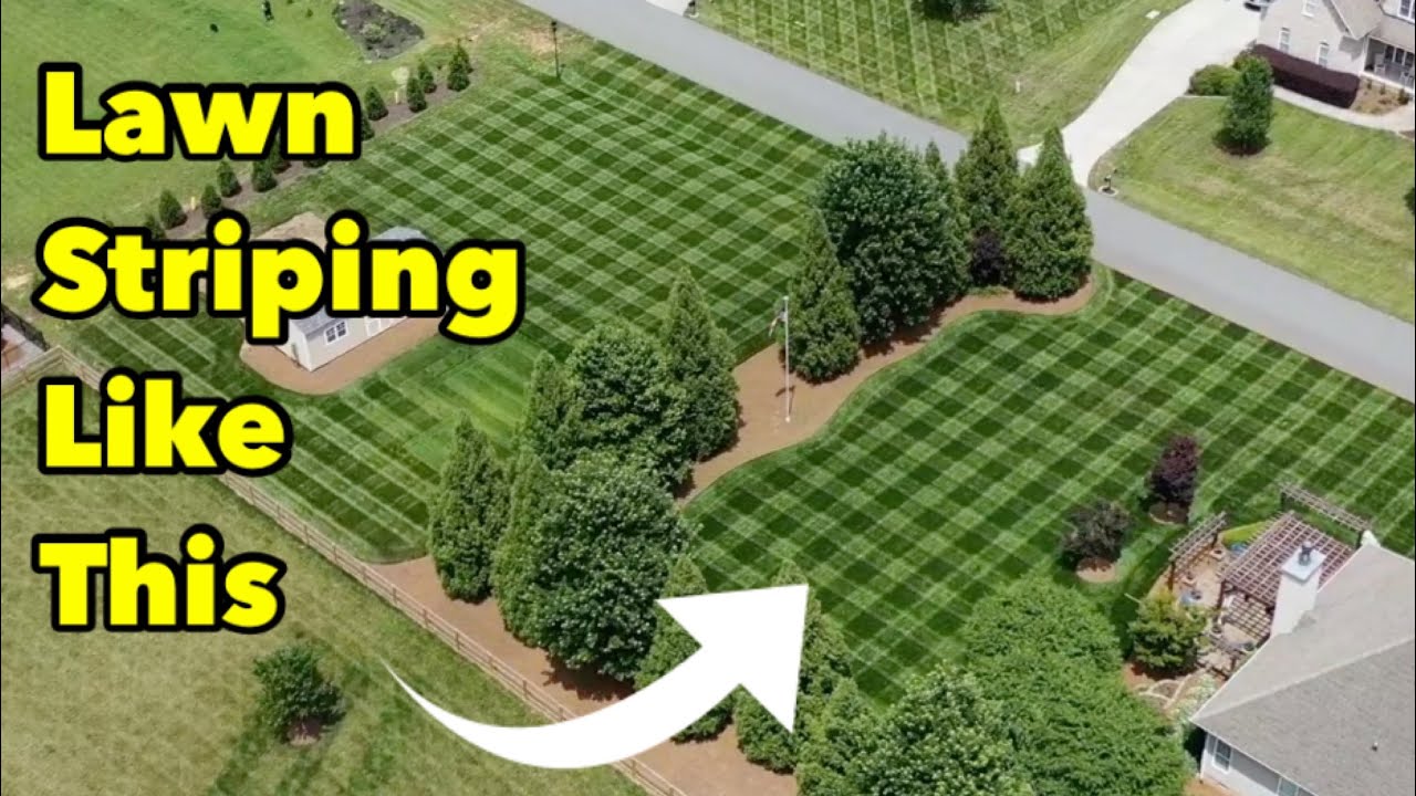 Lawn Striping First Mow Big League Lawn Roller