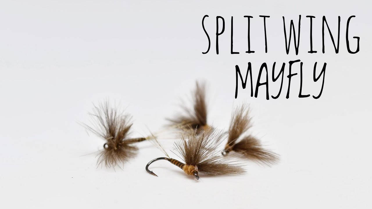 Split Wing Mayfly - Quick Step By Step / TroutCastz