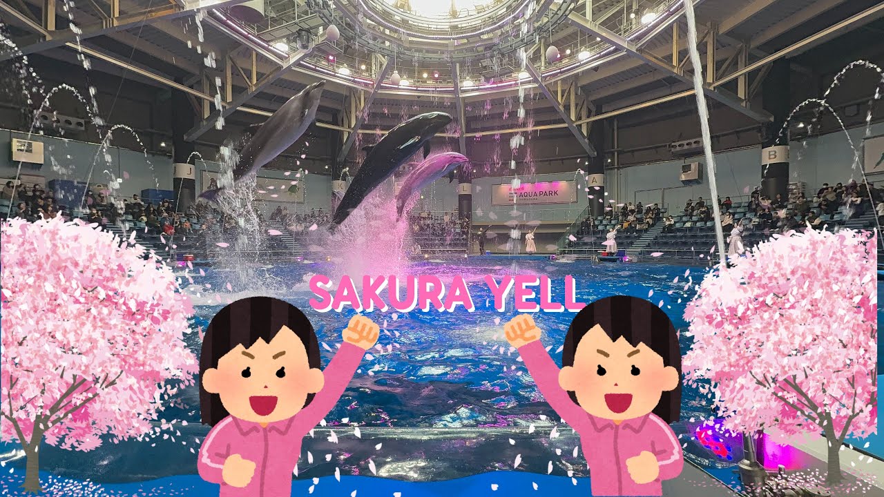 【完全版】マクセルアクアパーク品川 ドルフィンパフォーマンス（イルカショー）　デイVer.「SAKURA YELL」【4K】