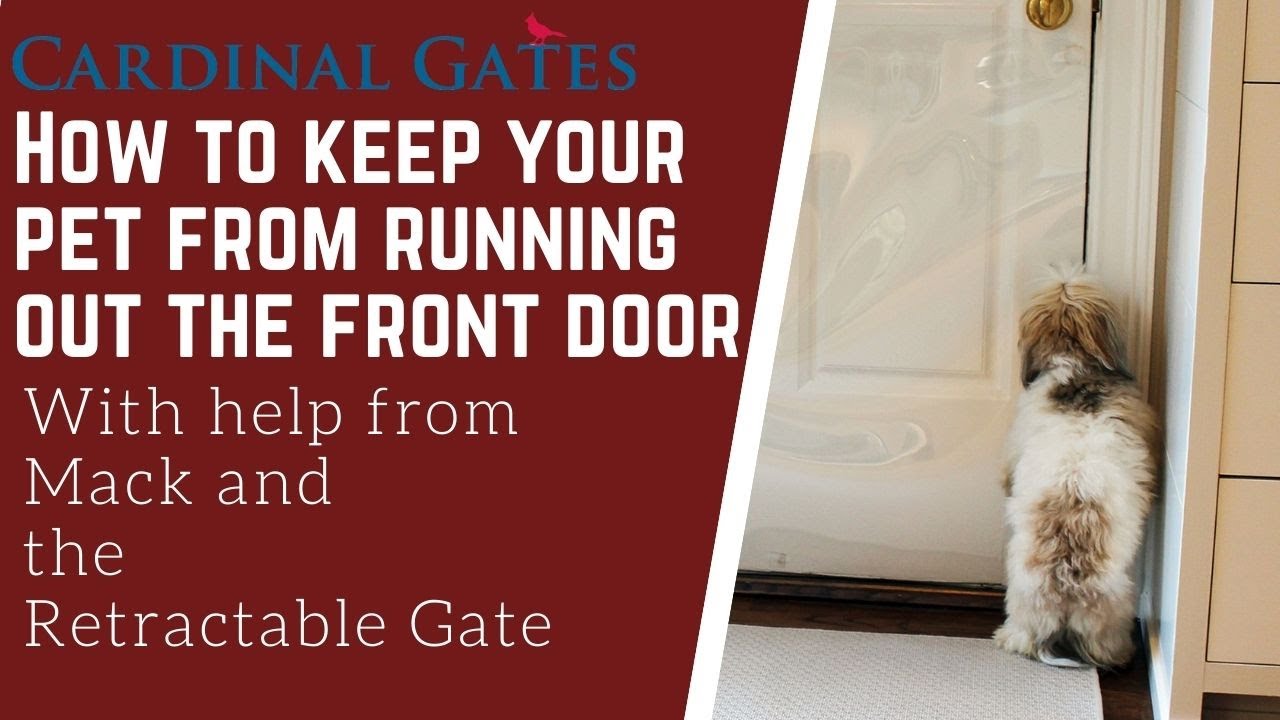 How to Keep Your Pet From Running Out The Front Door (With Help from Mack and The Retractable Gate)