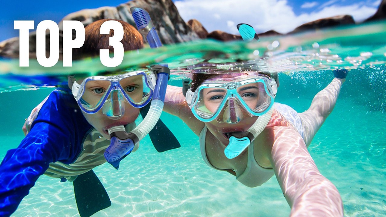 Top 3 Best Snorkel Mask !