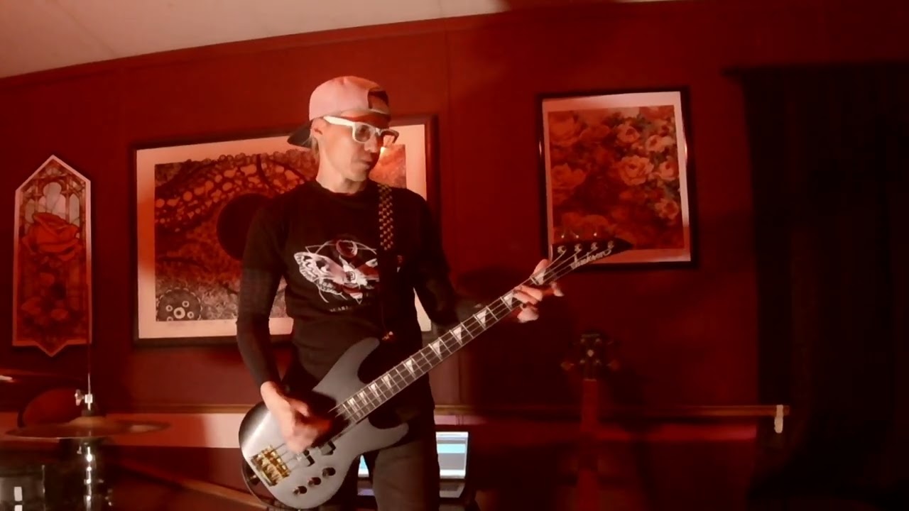 The Interrupters-Take Back the Power Bass cover