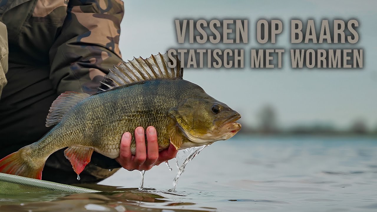 VISSEN OP BAARS | STATISCH MET WORMEN | TIM JANSSEN | PETER URSCHELER
