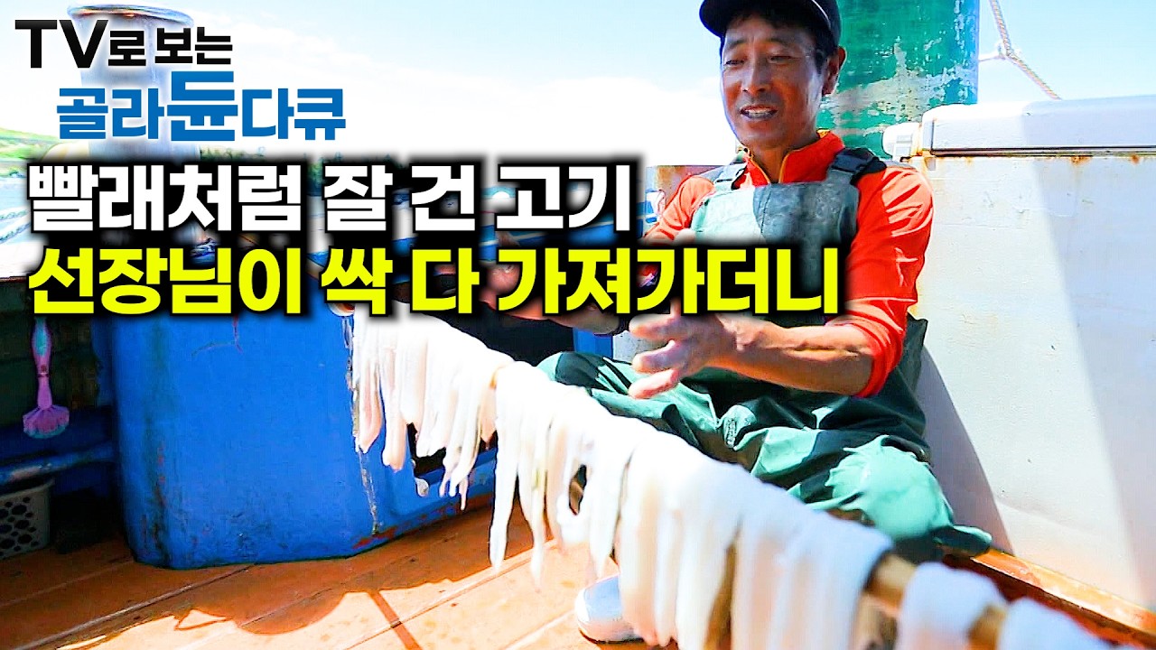 평생 갯장어만 잡던 선장님이 시킨대로 했을 뿐! 갓 잡은 고기를 마구 썰어주는 선장님｜🌊여름 여수 섬바다🌊1시간 몰아보기｜한국기행｜#tv로보는골라듄다큐