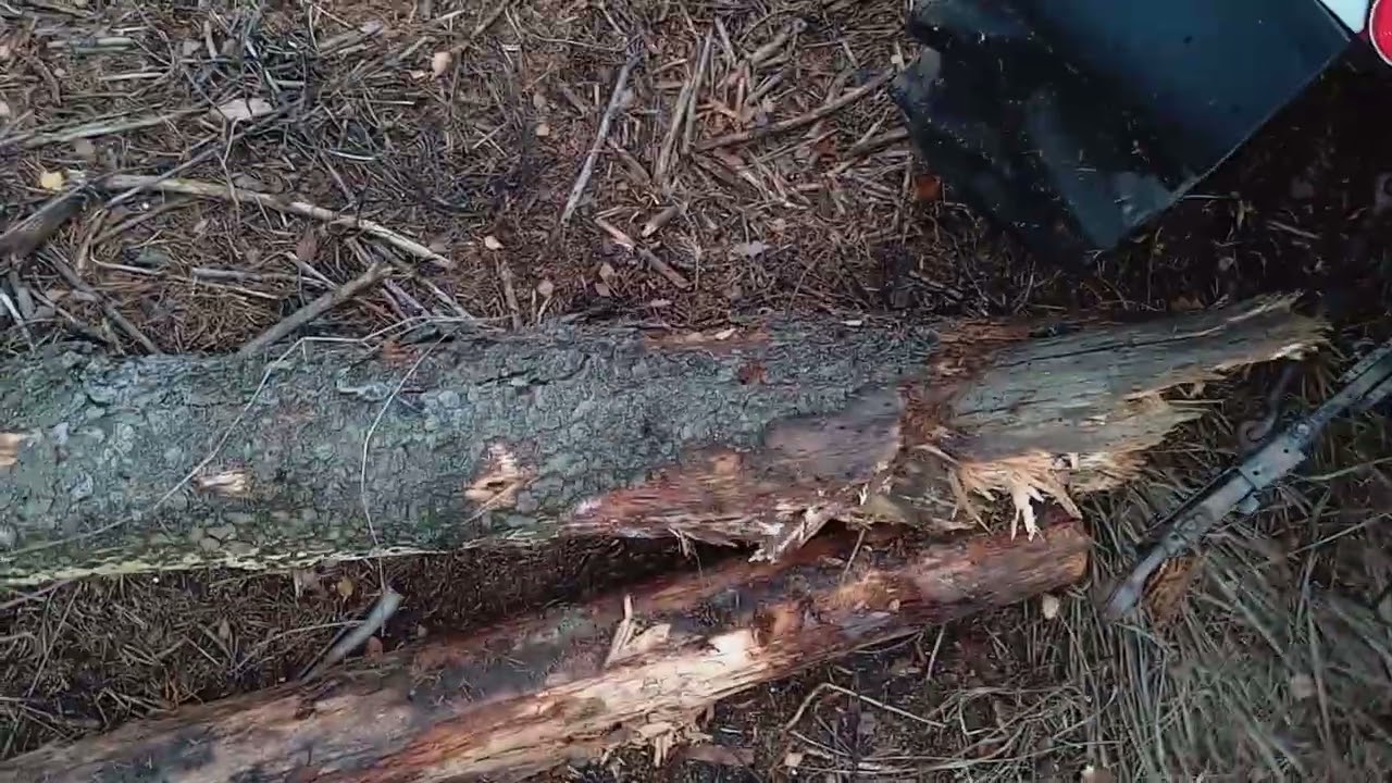 Work in forest | Arbeiten im Wald | Práce v lese | STIHL MS462, ZETOR 7745