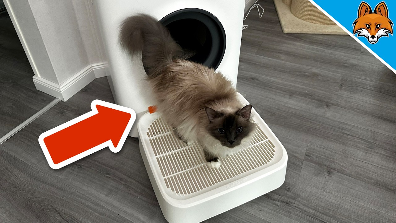 Katzenbesitzer-Lifehack für den Urlaub💥(Selbstreinigende Katzentoilette von Astropet)🤯