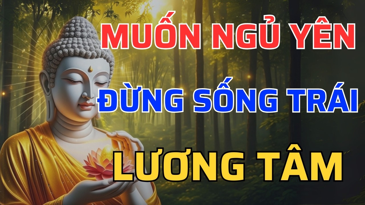 Làm Sao Để Không Sợ Nhân Quả? | Phật Dạy Muốn Ngủ Yên Phải Sống Ngay Thẳng Và Bớt Tạo Nghiệp
