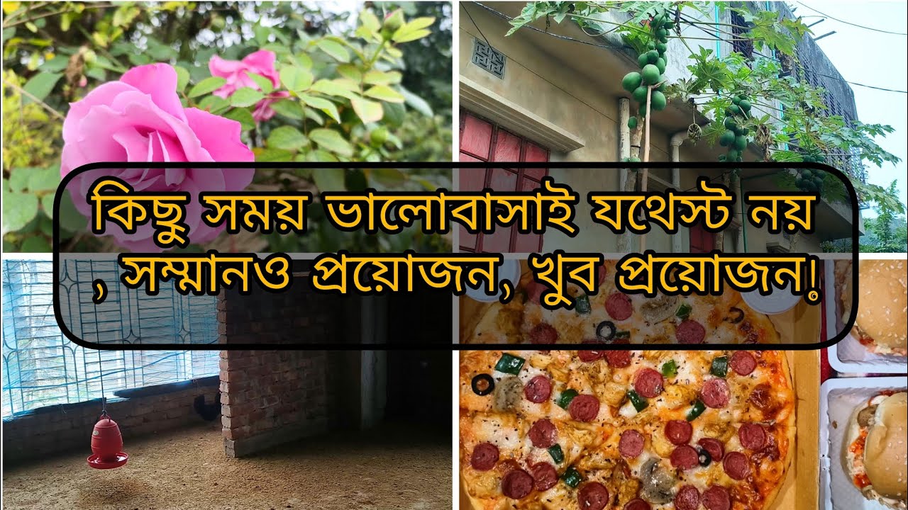 দেশী মুরগী পালা অনেক ঝামেলা। বাচ্চাদের পছন্দের খাবার অর্ডার করলাম।#lifestylevlog 