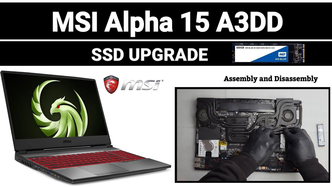 How To Upgrade SSD M.2 NVMe MSI Alpha 15 A3DD / Assembly and Disassembly
