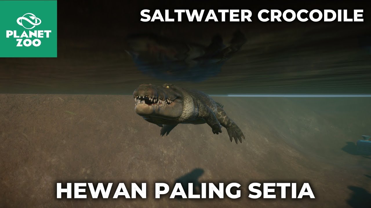 BUAYA TERNYATA HEWAN PALING SETIA??? | Planet Zoo - Indonesia