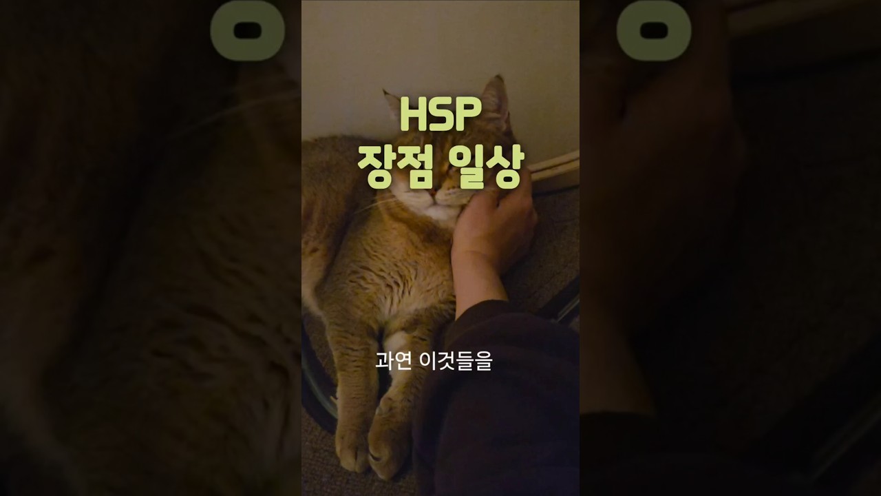 HSP 장점 #우울증 #고양이 #우울증해소 #자기수행