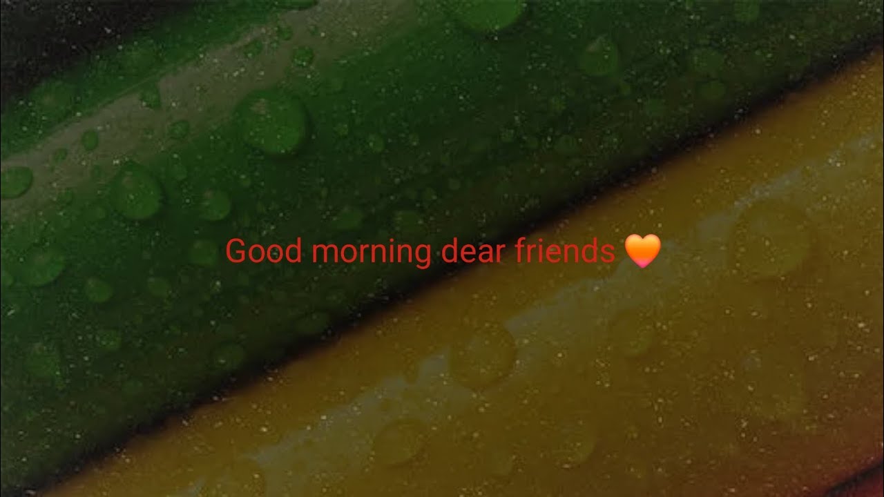 Good morning dear friend|| nabdeep tv || navdeep tv vlog video || vlog & people || नवदीप टीवी
