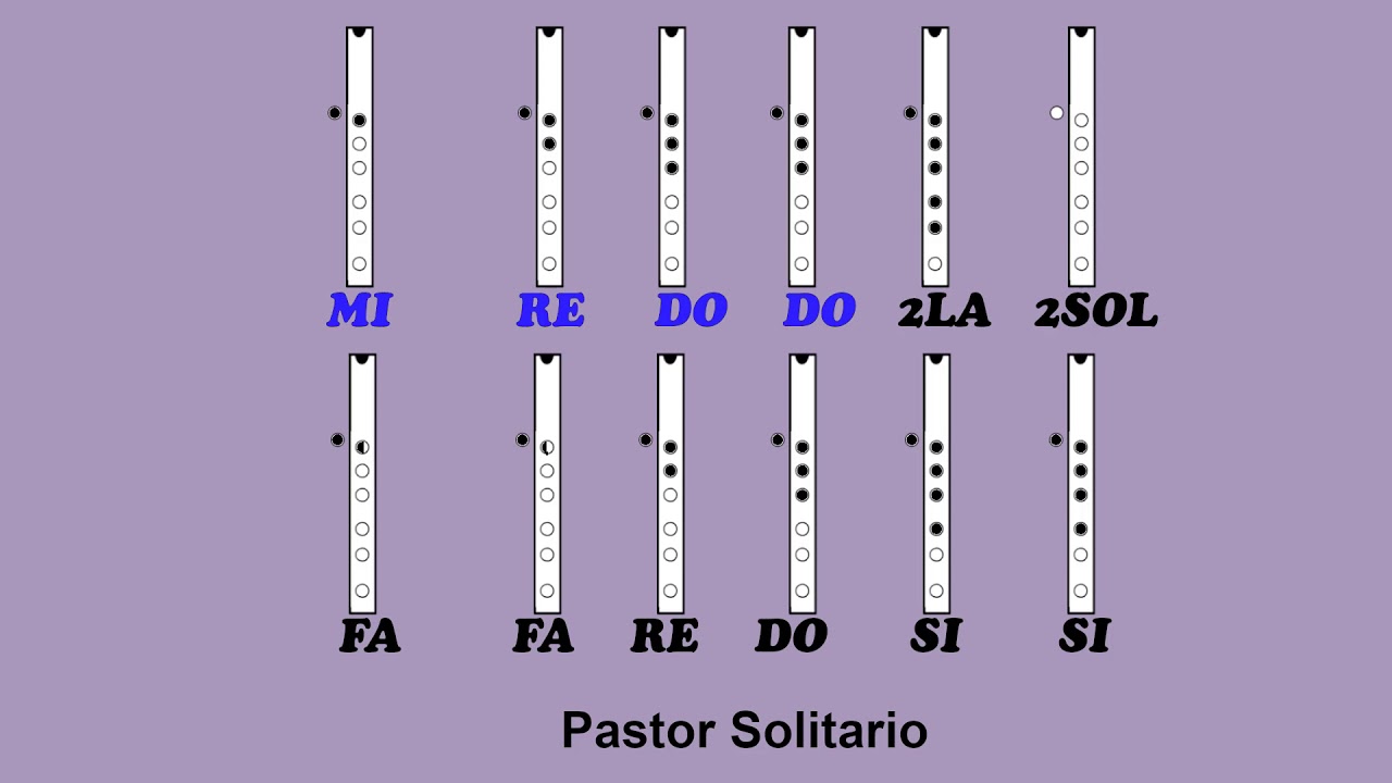Pastor solitario. Flauta quena.