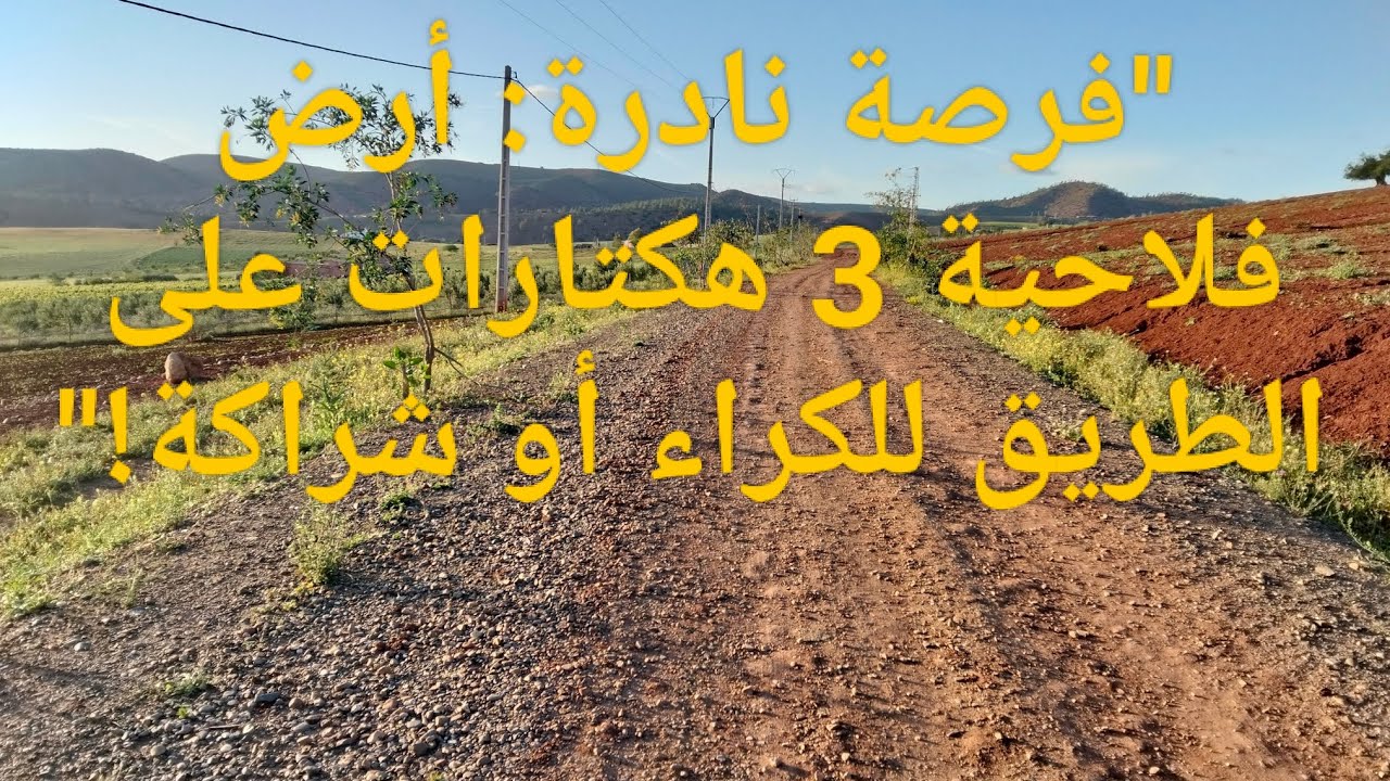 فرصة نادرة: أرض فلاحية 3 هكتارات على الطريق للكراء أو شراكة!"