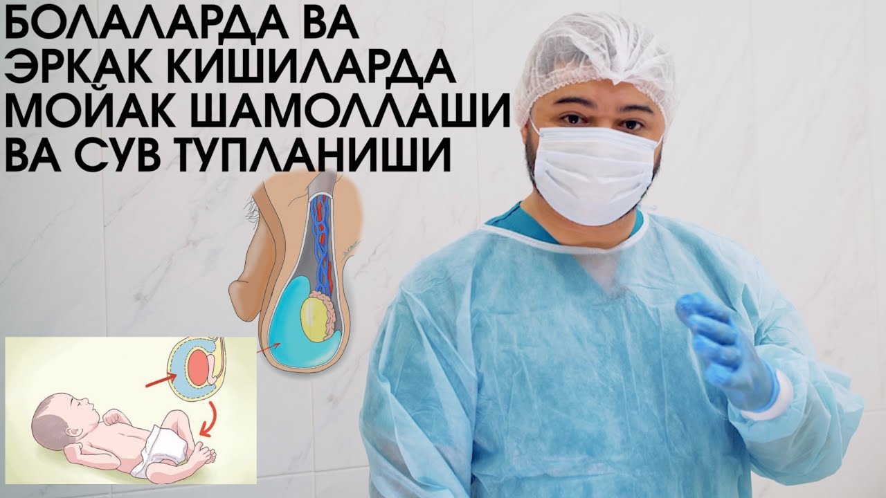 ЭРКАК ТУХУМИ ШАМОЛЛАШИ ЕШЛАРДА ВА КАТТАЛАРДА