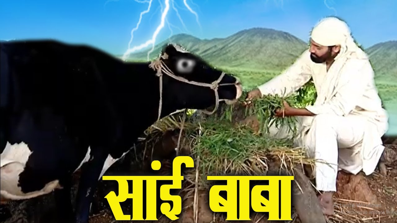 बीमार गाय जब साईं बाबा के हाथ लगाते ही घास खाने लगी | Shirdi Sai Chamatkar |