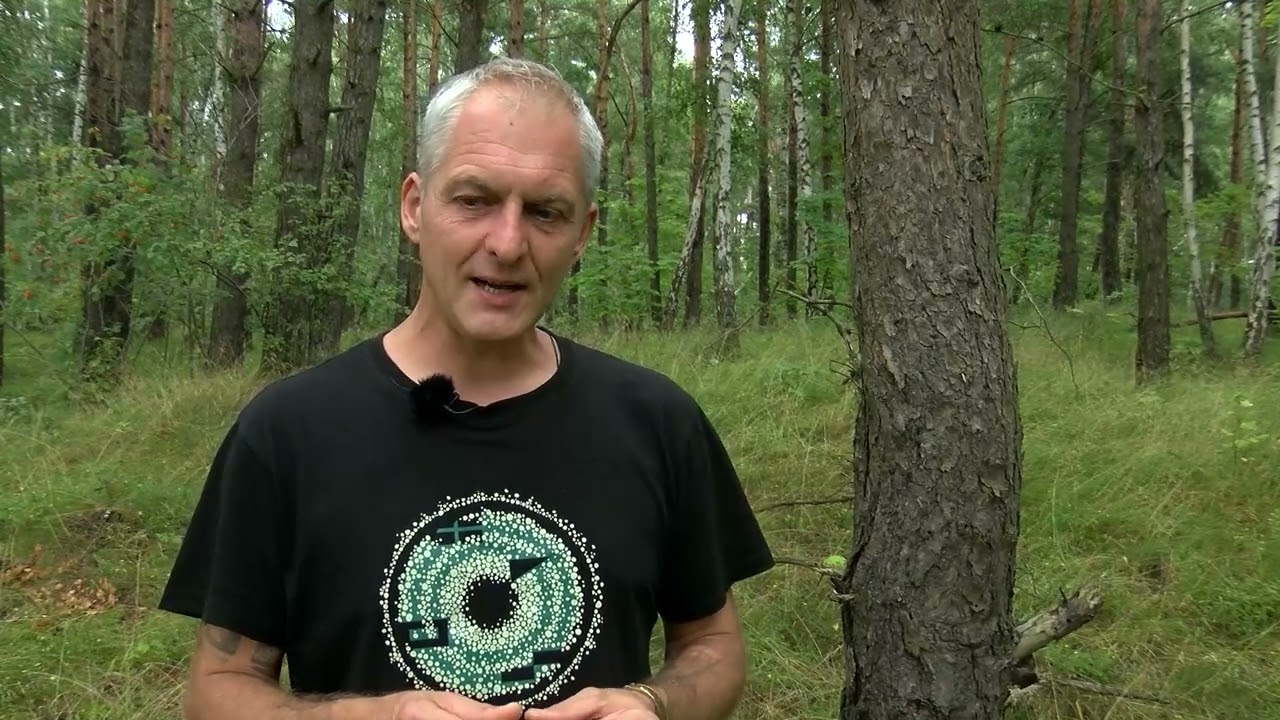 Pajūrio istorijos. Juodkrantė