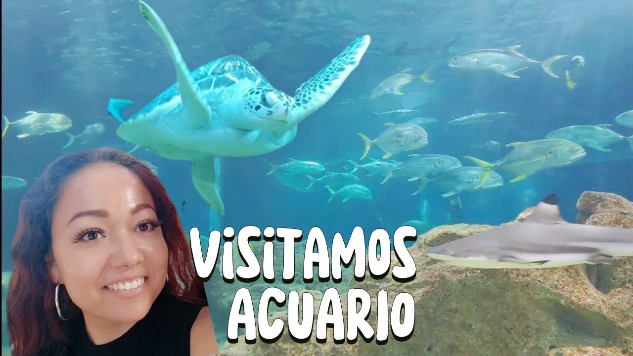 Vlog Familiar en el Acuario 🐠 | Paseo Increíble + Presentando a Mis Nuevas Mascotas