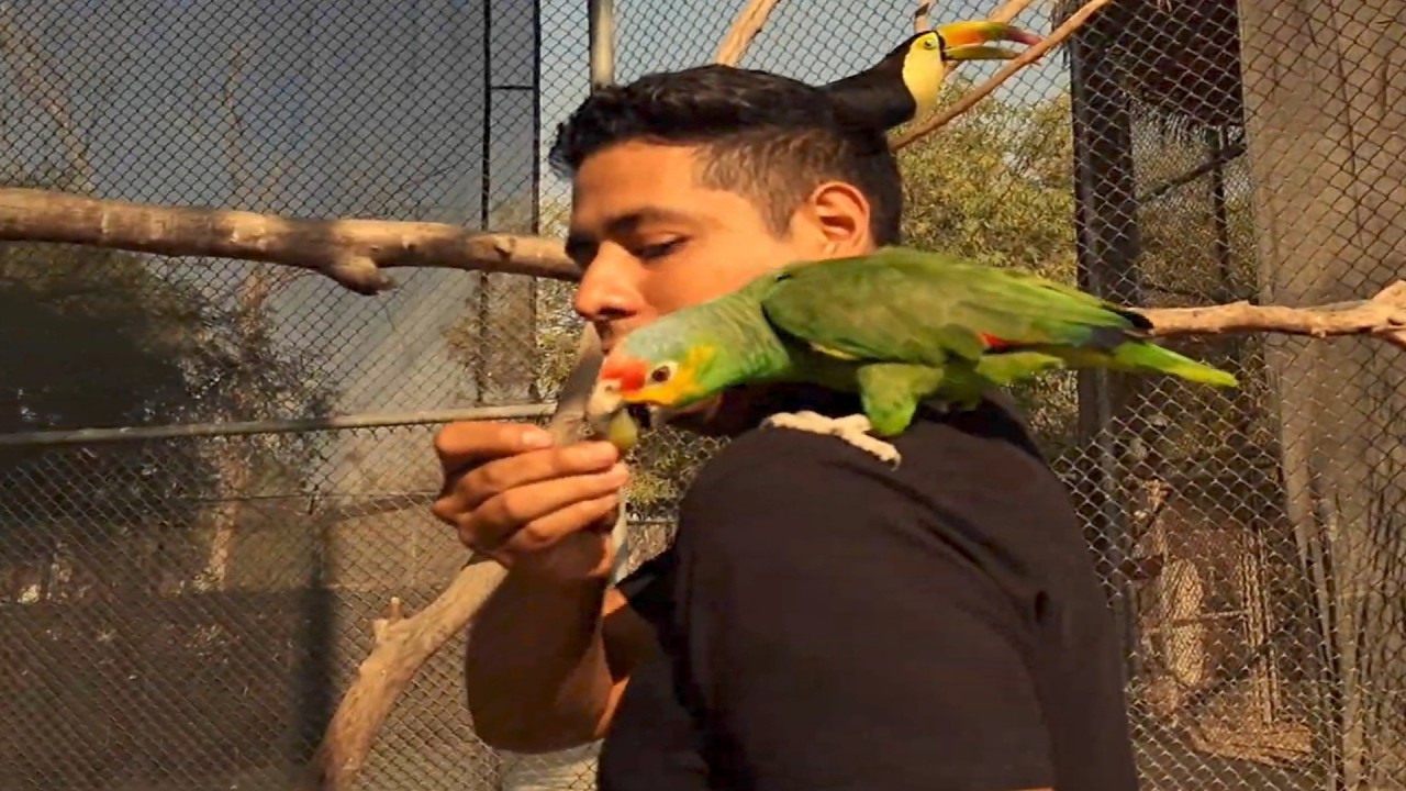 ¿Como no voy a creer? Ft Yaz y Marvin CHH