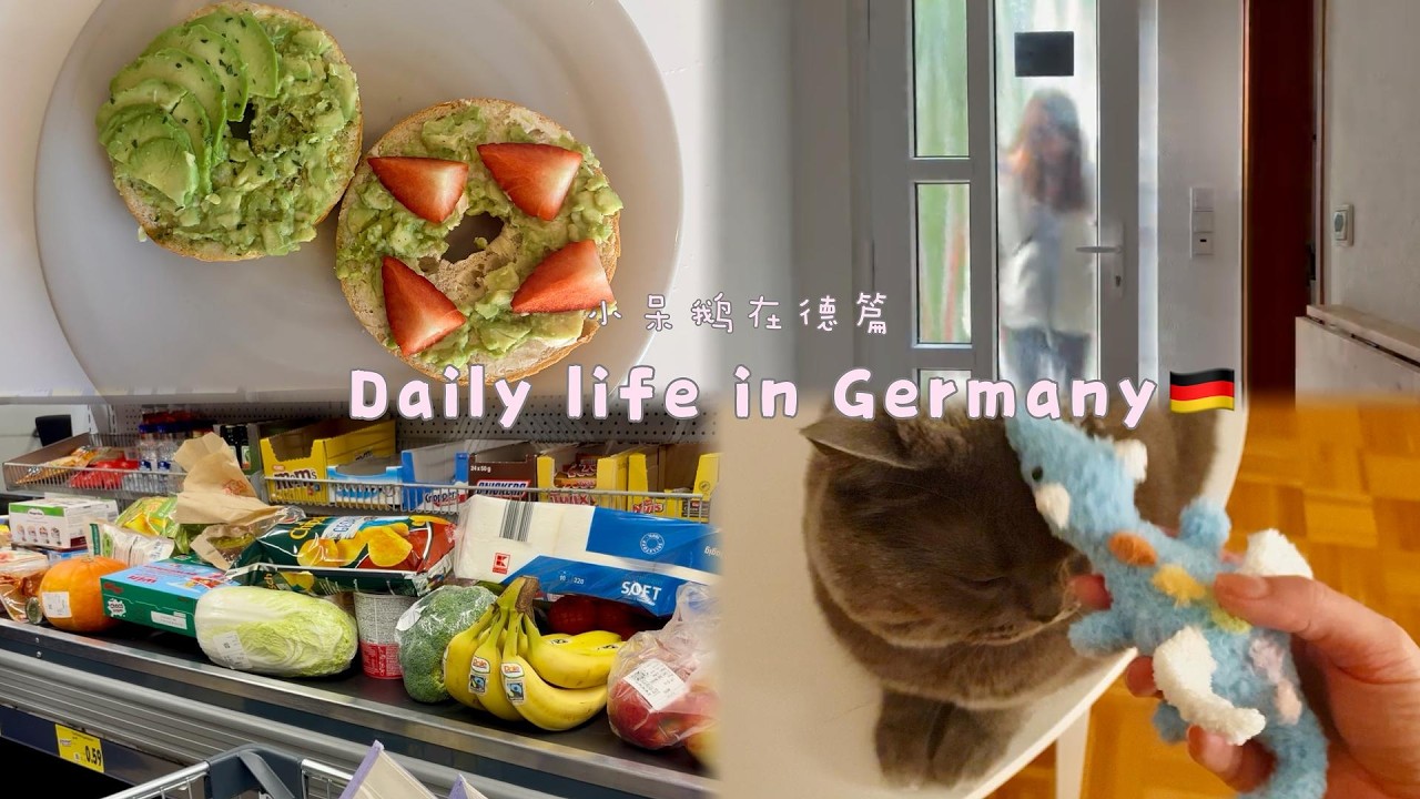 08.Daily life in Germany| Kaufland采购年夜饭食材|ikea|做手工