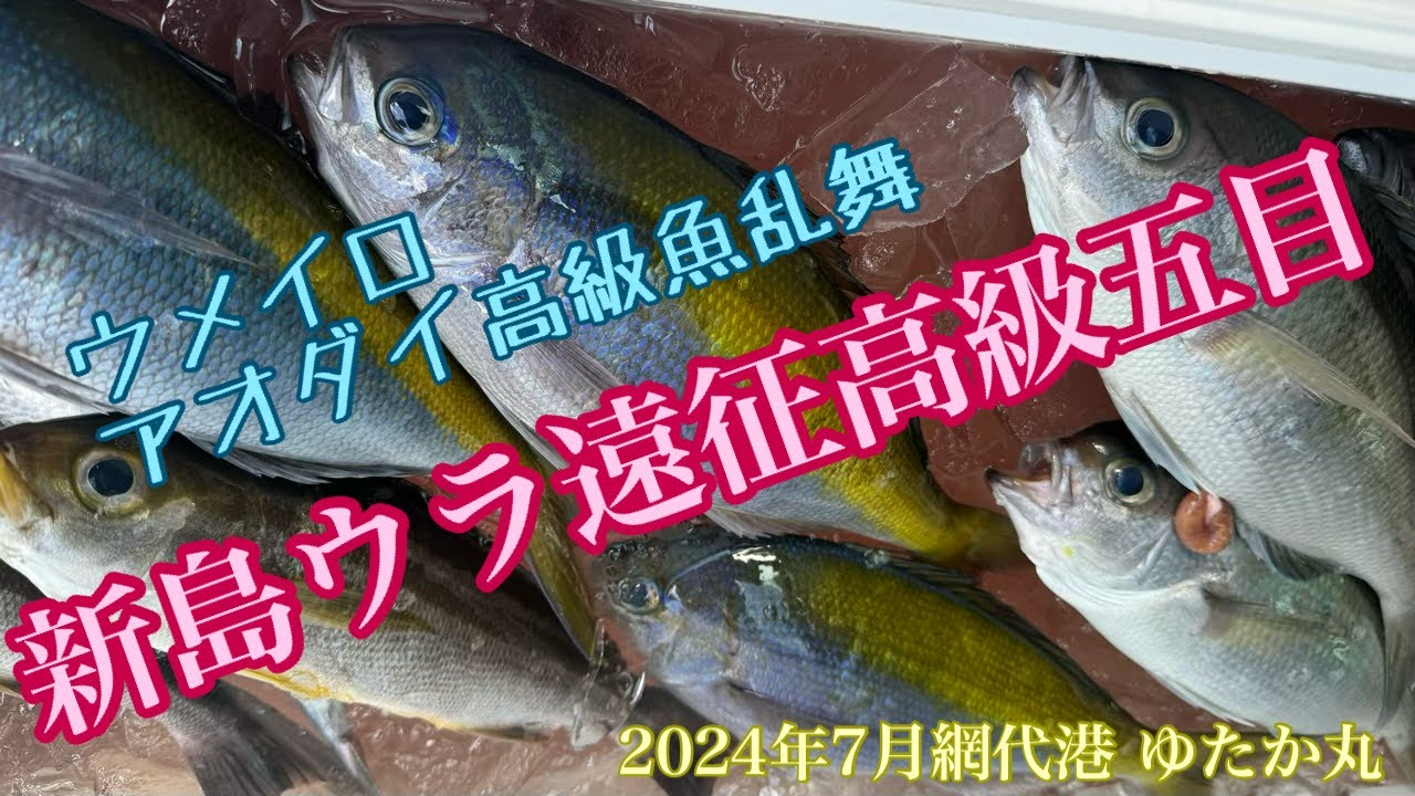新島ウラ遠征高級五目船（網代 ゆたか丸）