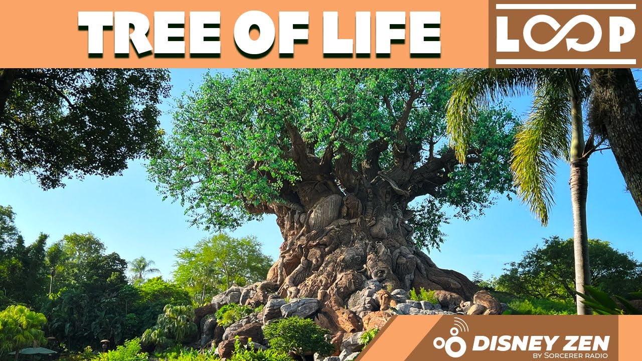 Relaxing View of the Tree of Life at Disney’s Animal Kingdom and  Music Loop in 4K