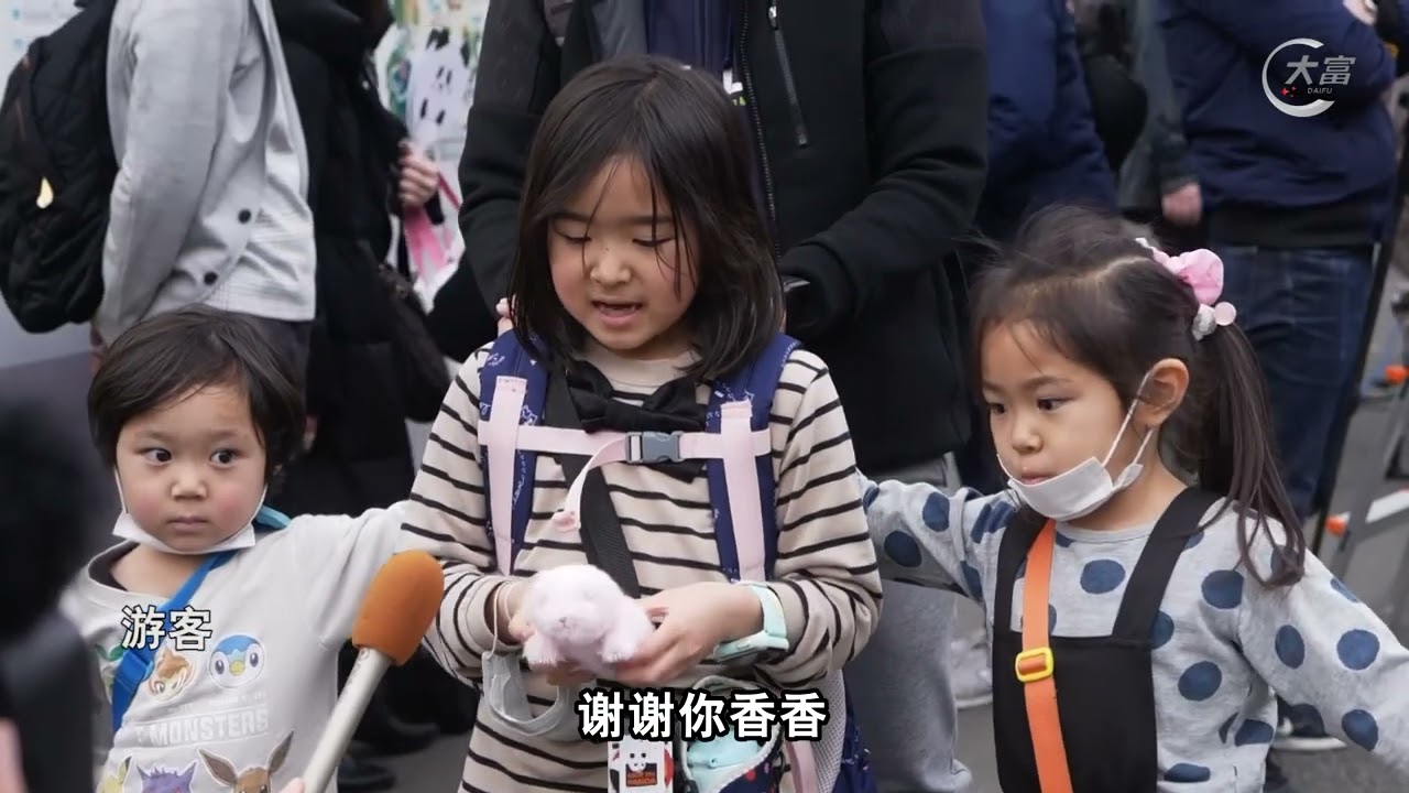 大富频道报道：旅日大熊猫“香香”即将回国 日本民众排长队告别