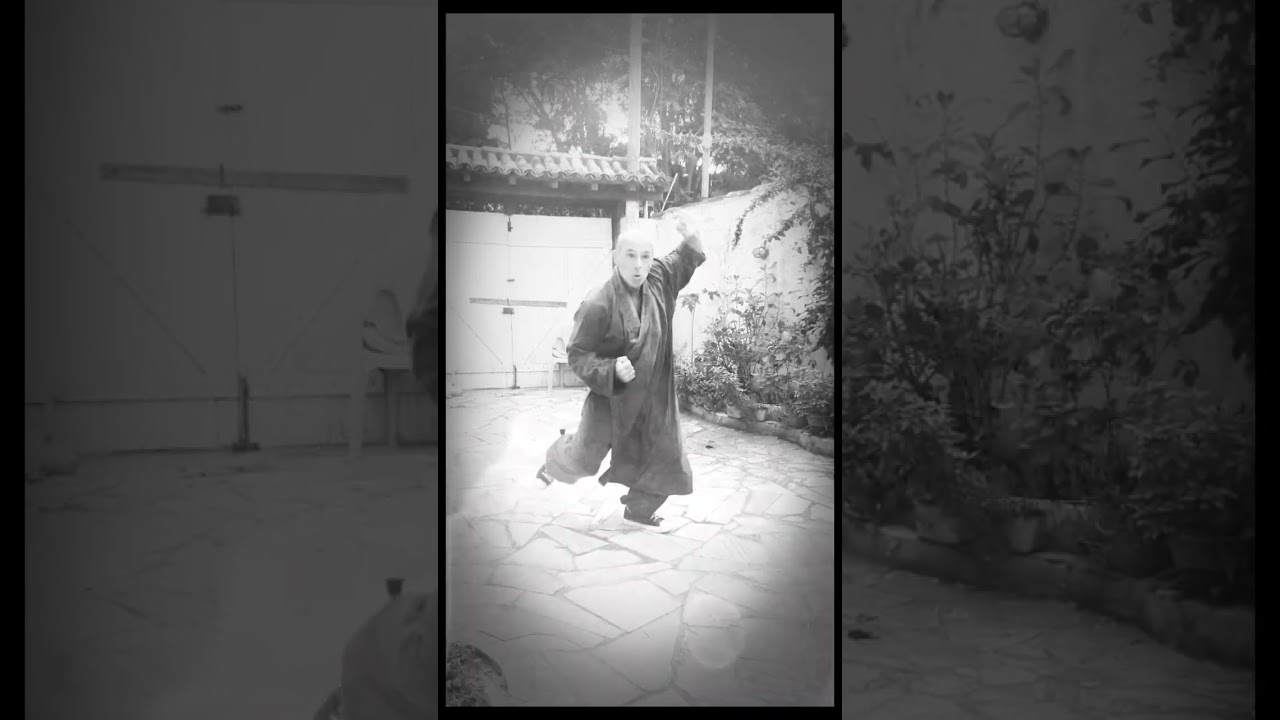 Xing Yi quan  kung fu #shorts