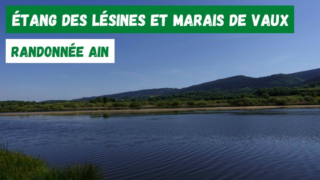 Etang des Lésines et Marais de Vaux - Randonnée Ain (21 mai 2022)