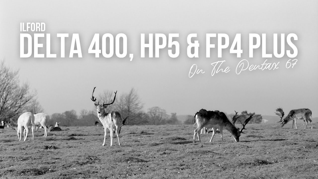 Черно-белая пленочная фотография, сделанная на фотоаппарат Pentax 67 с использованием пленки Ilford.