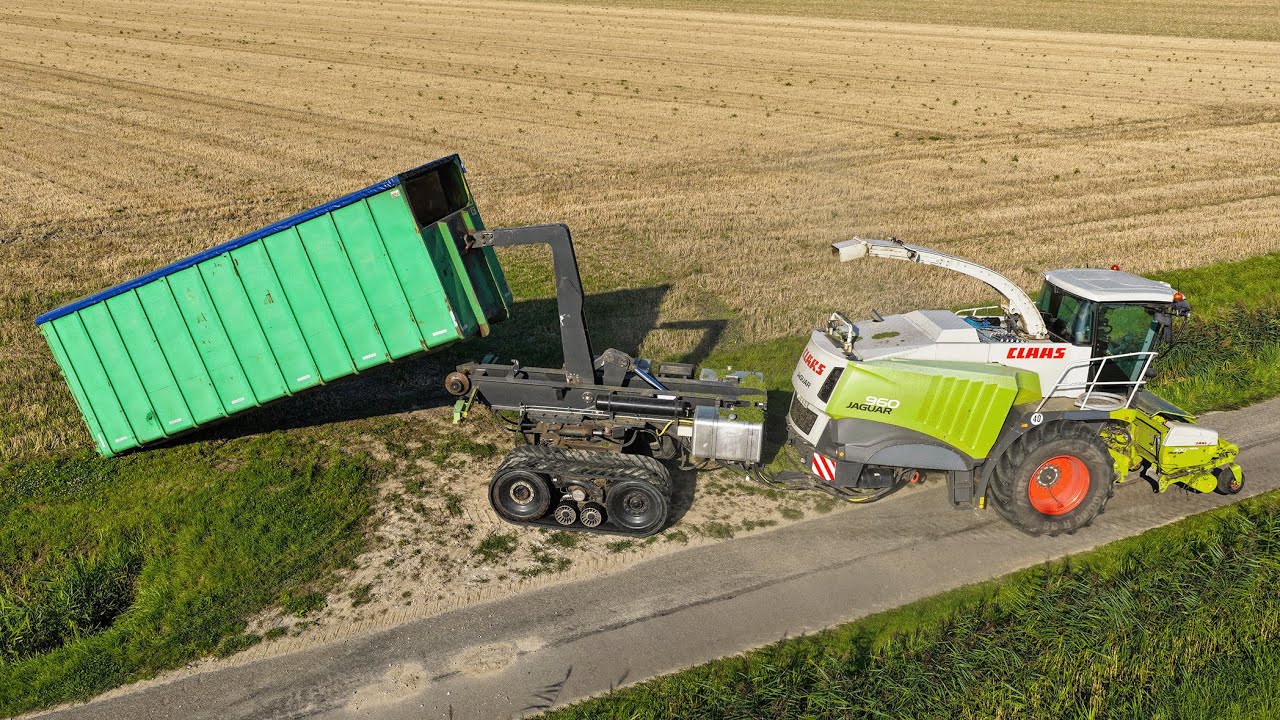 Lucerne / Alfalfa silage harvest | Claas Jaguar 960 Terra Trac Container Carrier | Timmerman