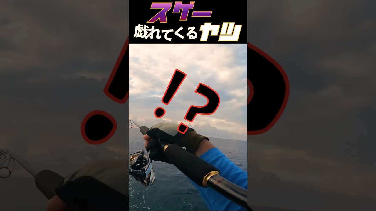 戯れる魚 #釣り #陸釣り #fishing #宮古島