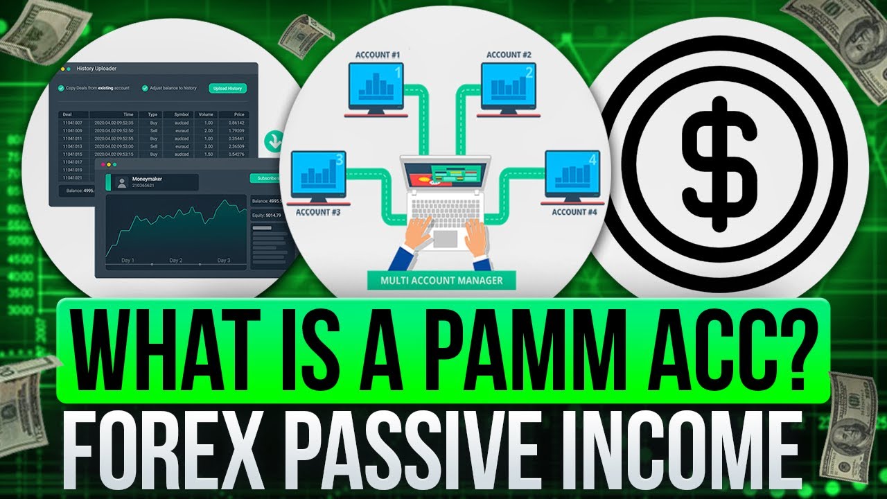 What Is A Pamm Account? Easy Way To Make Passive Income
