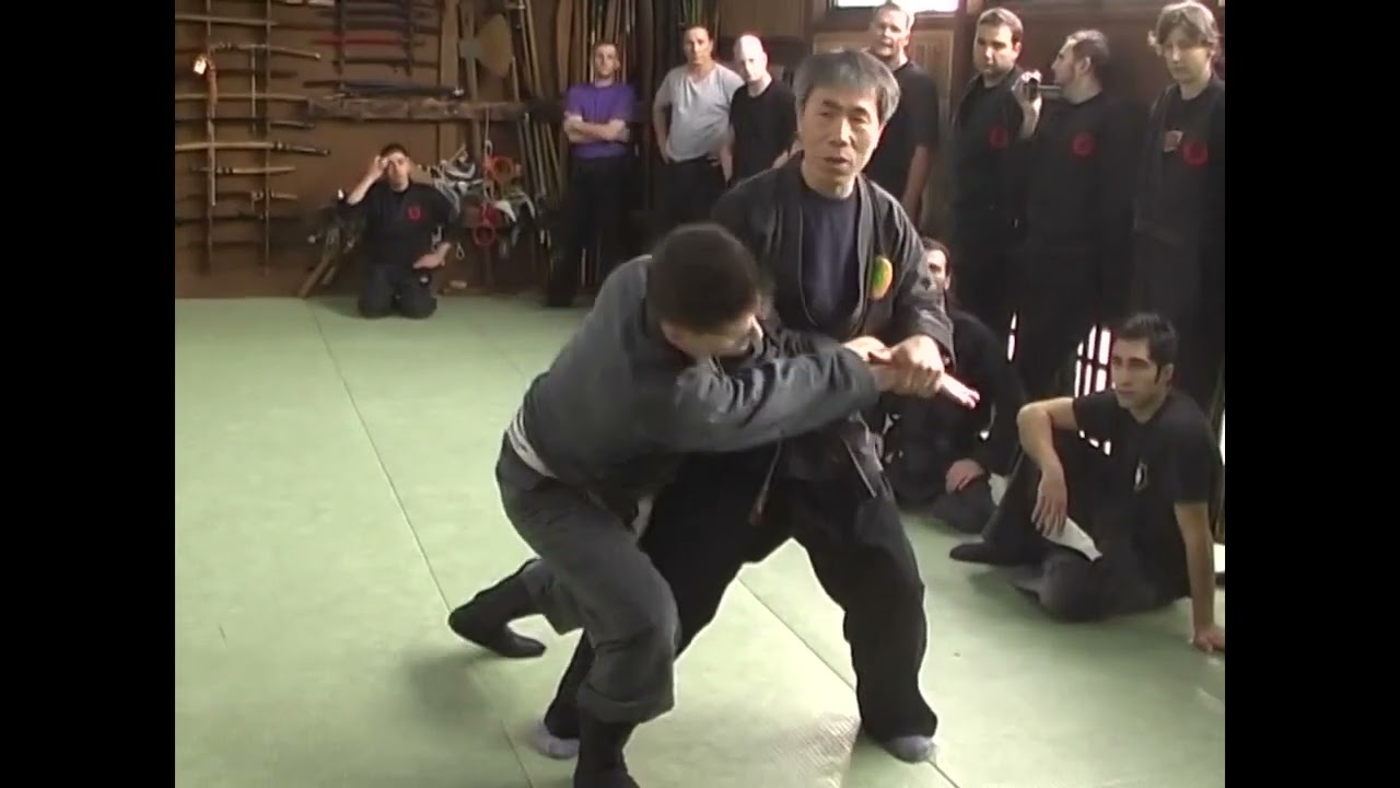 Seno sensei   Bujinkan Hombu dojo class