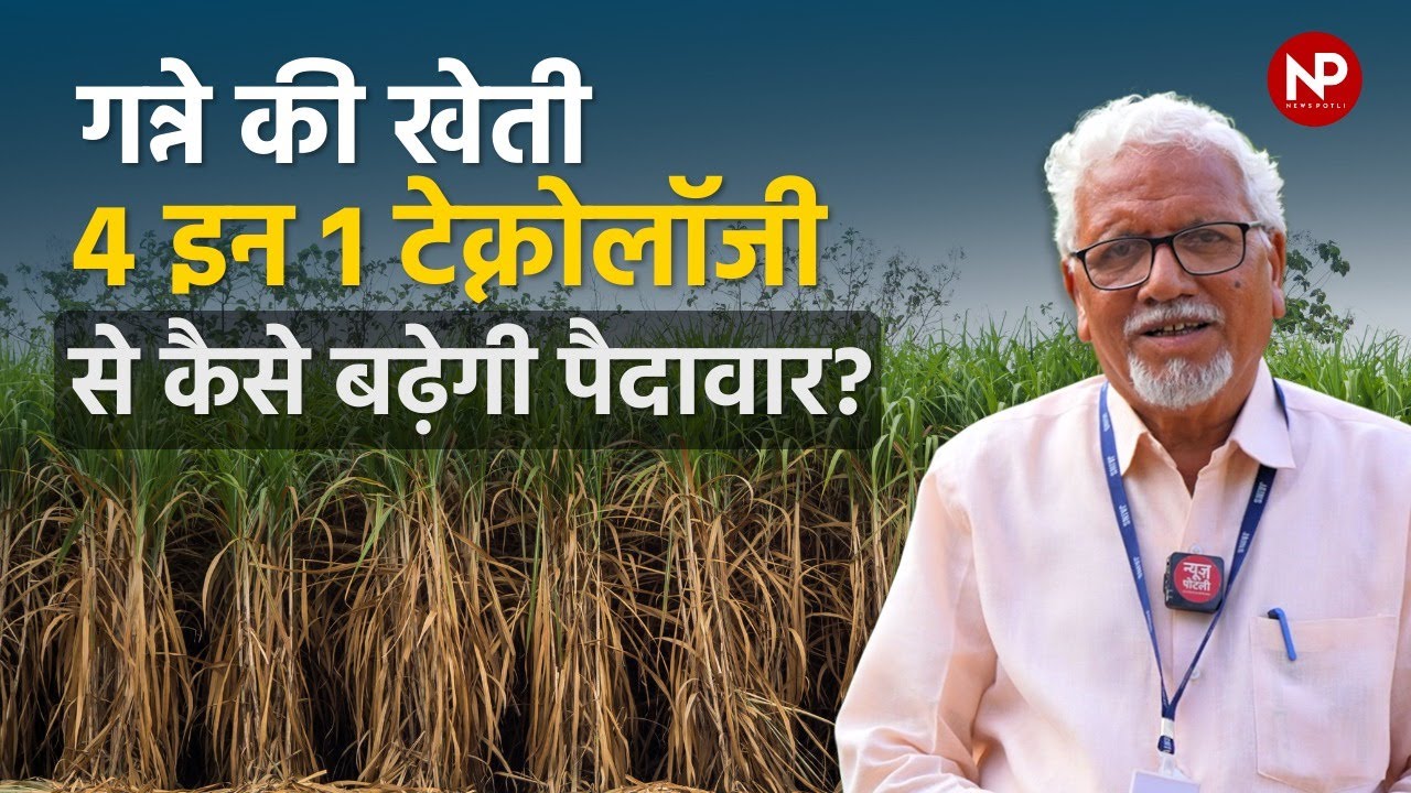 गन्ने की खेती की 4 इन 1 तकनीक || Sugarcane Cultivation New Technology Four In One || Ganna ki Kheti