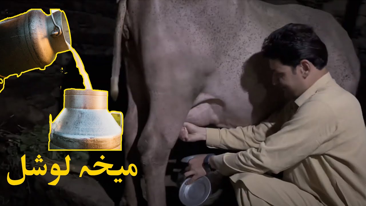 A day in village with respectable Father