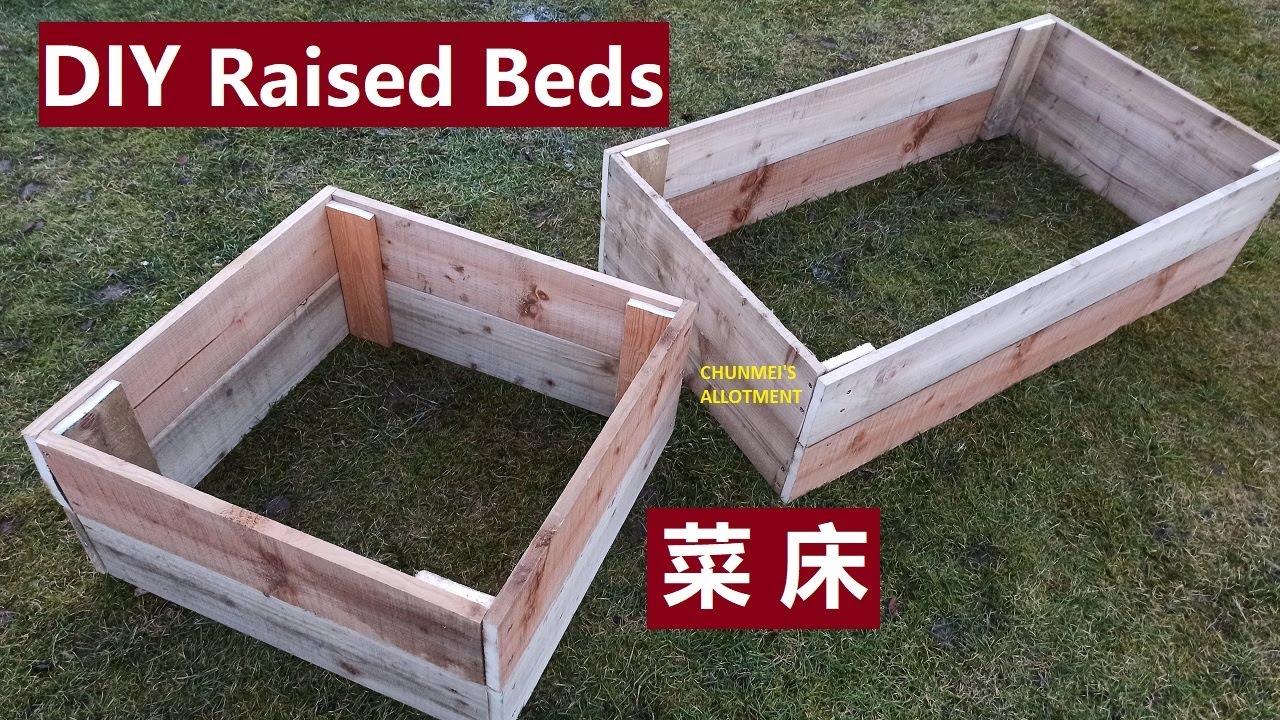 30镑买木板，做两个菜床 ，后院种菜 DIY two raised beds with &pound;30 timber， grow veggies in my back garden