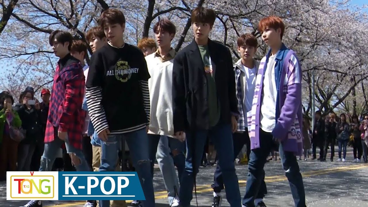 UNB(유앤비) 'Only One' Busking Stage (윤중로 벚꽃길 버스킹, The Unit, 더유닛, 보이후드, Boyhood)