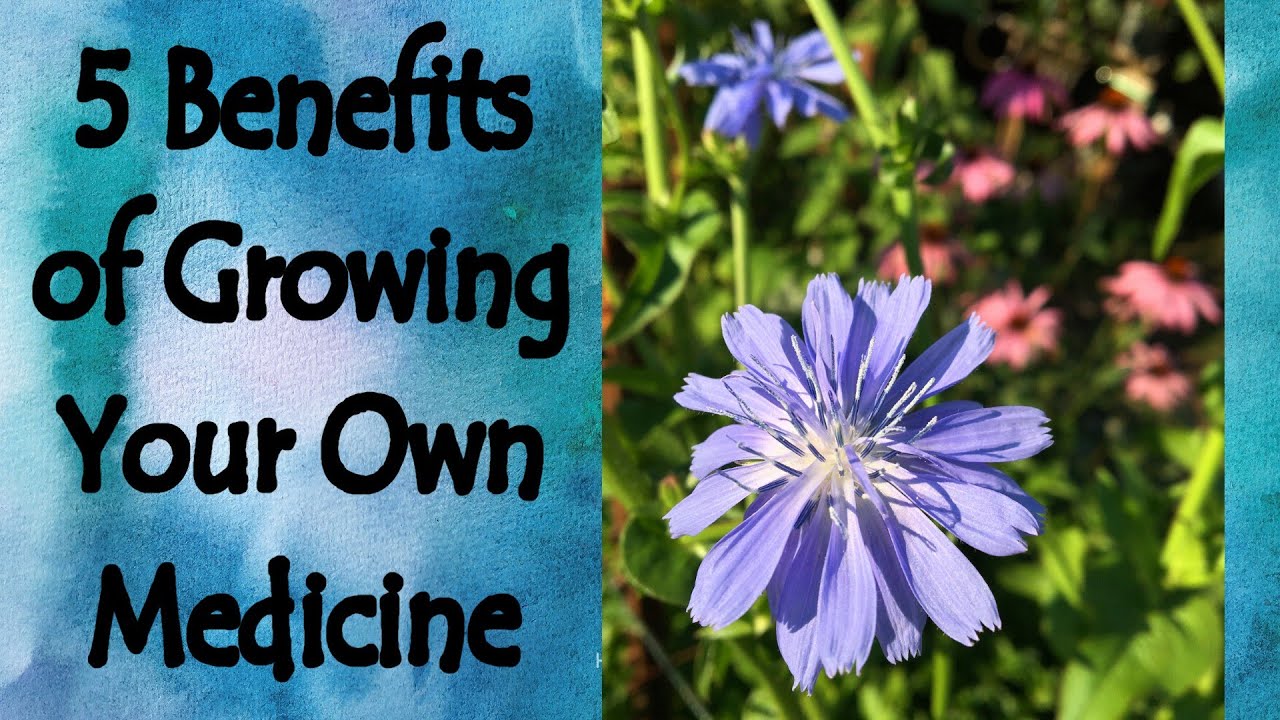 5 Benefits of Growing Your Own Medicine