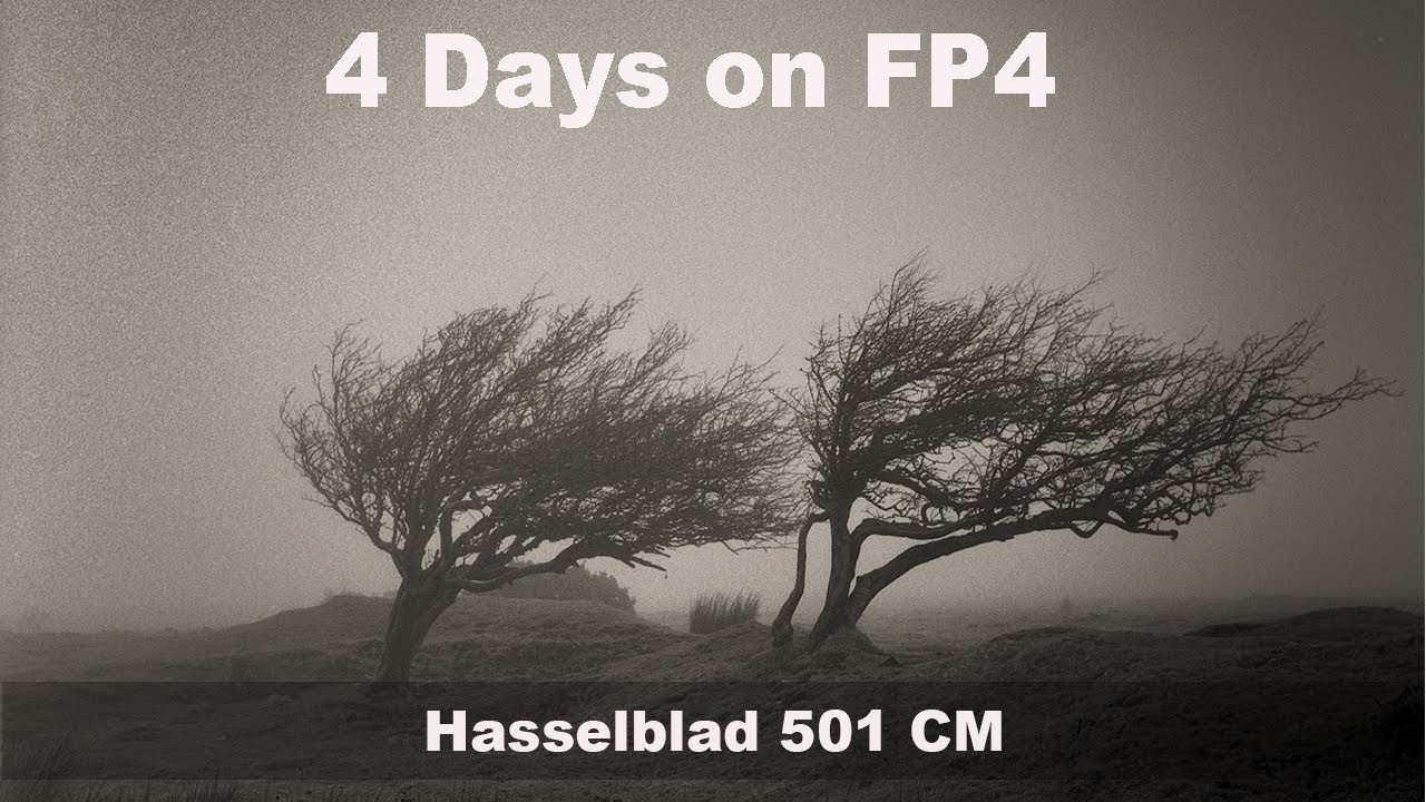 Four Good Days on Ilford FP4 |  Hasselblad 501 CM | Cornwall