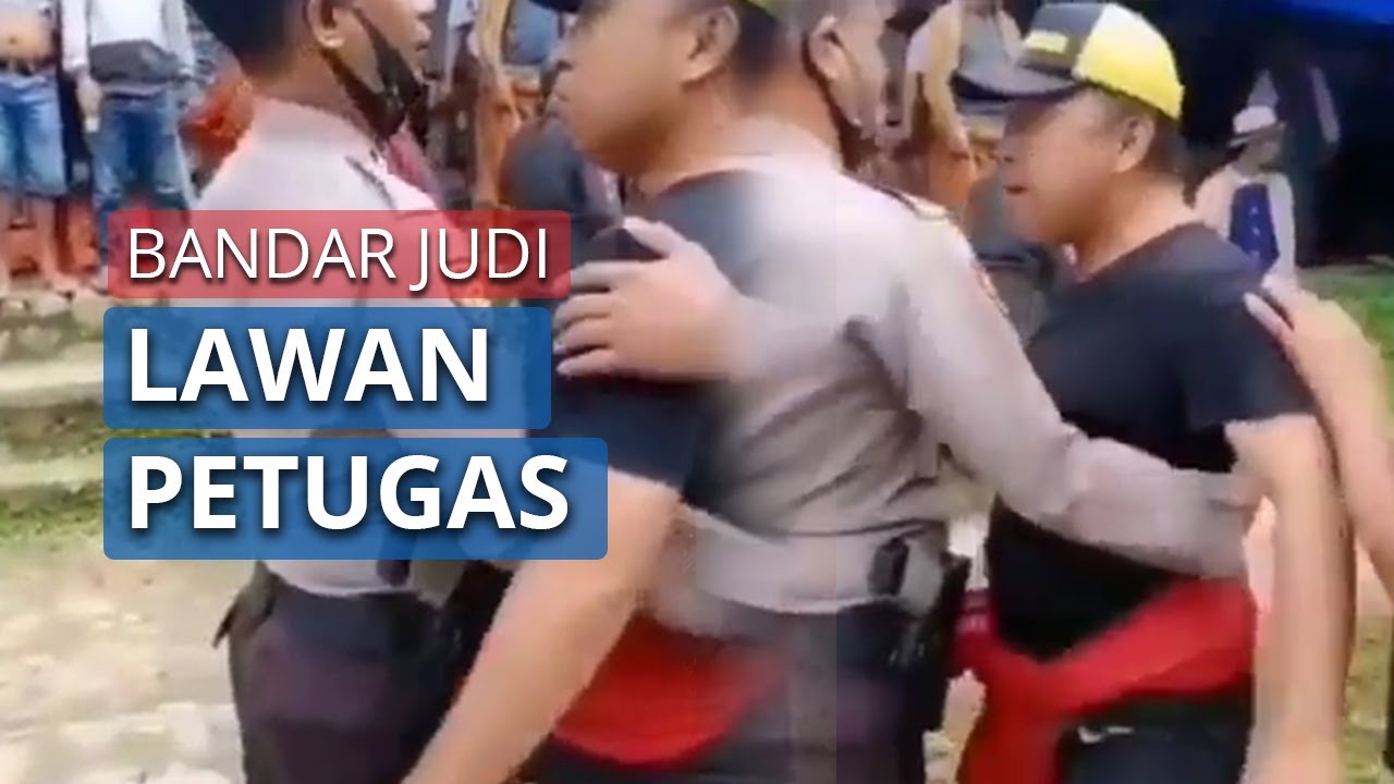 Viral Video, Seorang Diduga Bandar Judi Sabung Ayam Ngamuk saat Arena Dibubarkan Polisi