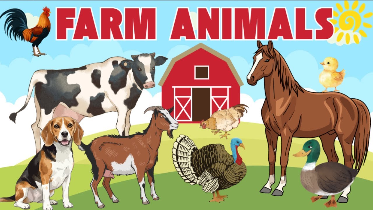 Farm animals for kids| Animal sounds