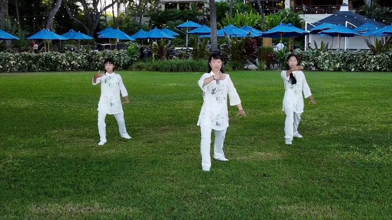 Tai Chi Bafa Wubu Back View Full Demo 太極拳八法五步背向全景示範