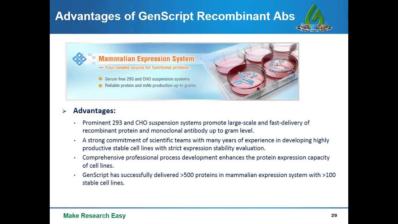 Analyzing antibody sequence for recombinant antibody expression